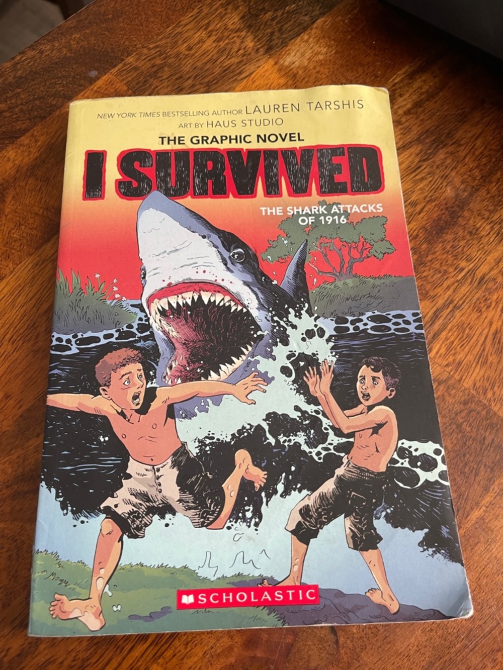 Scholastic Kids' Swim Graphic Novel Cover - Red, Black, White